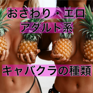 お触りアリのキャバクラは色んな種類があるので知っておこう