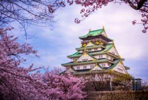 桜と大阪城画像