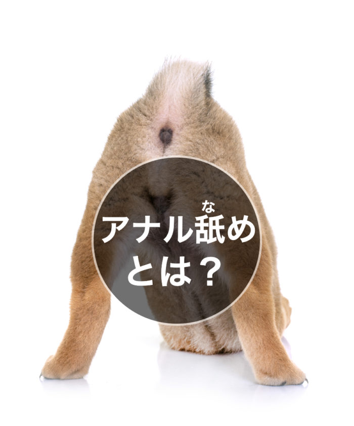 アナル舐めとは？用語解説・やり方・メリット・デメリット紹介