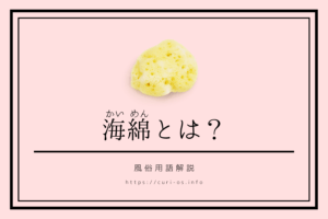 風俗で使う海綿とは?生理中でも出勤できる風俗嬢の味方